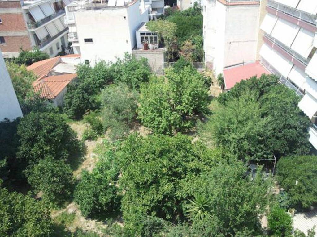 Foivos Hotel Loutra Edipsou  Room photo